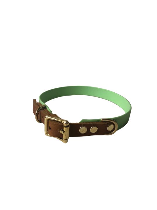 Biothane Halsband mit Leder, viele Farben und Größen, individuell gestalteten, handgefertigt von paleroad-design