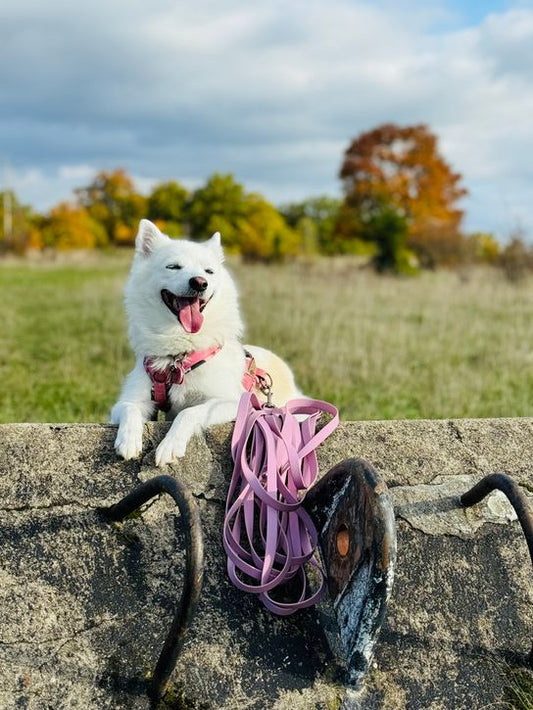 Schleppleine aus Hexa Gutband. 16 mm/ Gestalte selbst