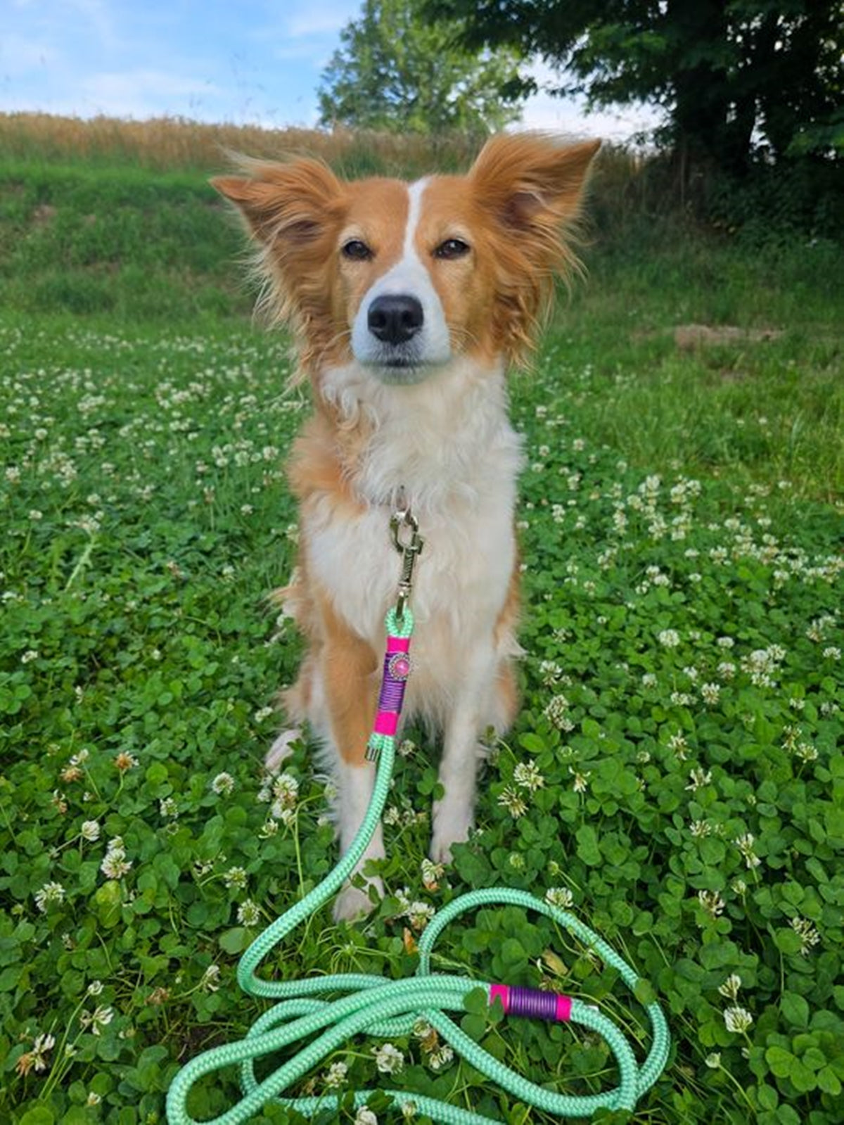 Cityleine aus Hexa Gurtband/Mint