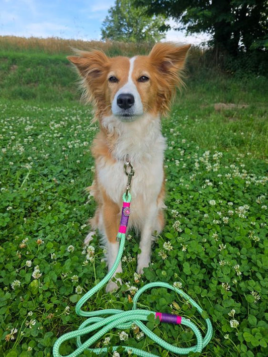 Cityleine aus Hexa Gurtband/Mint