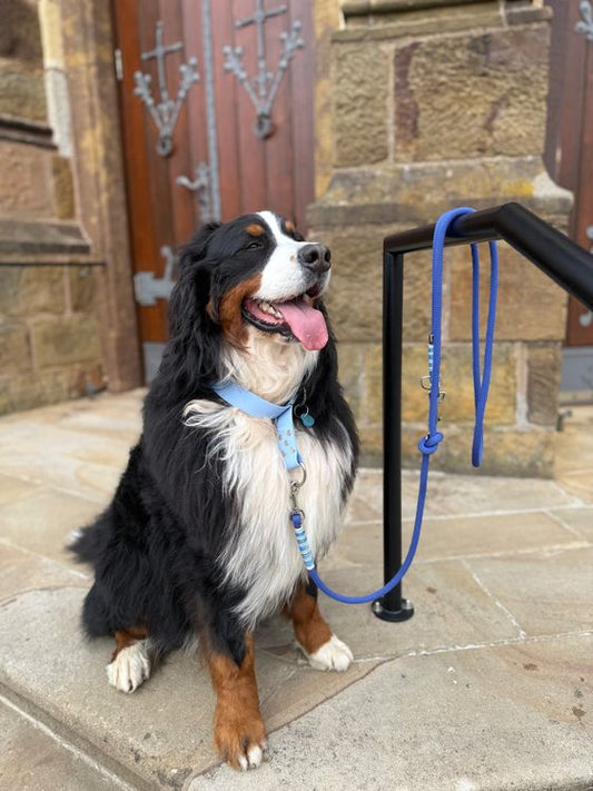 Konfigurator - verstellbare Leine aus 10 mm Premiumtau