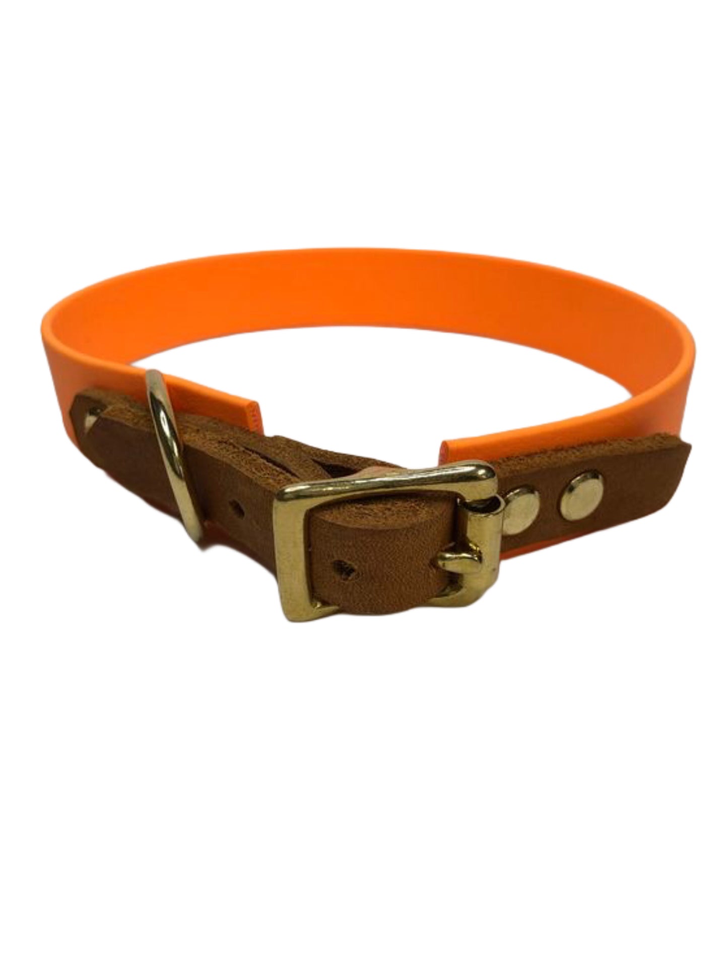 Hundehalsband Biothane mit Leder, handgefertigt von paleroad-design, viele Farben und Breiten, individuell gestalten
