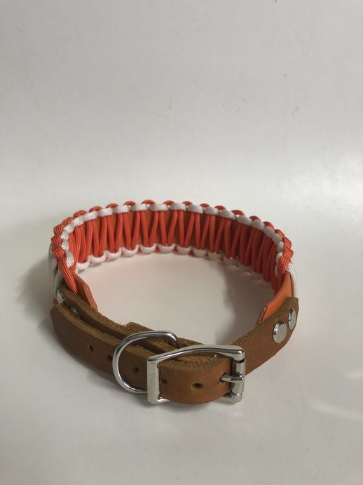 Biothane Halsband mit Paracord Umflechtung und Leder Adapter Halsumfang