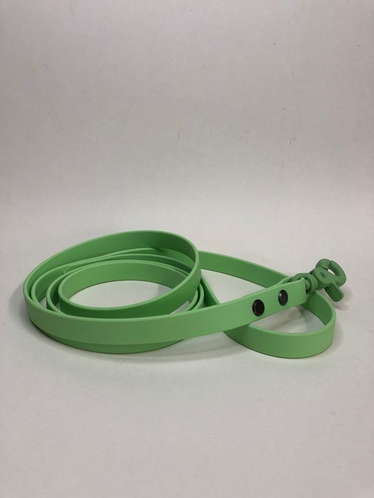 Cityleine aus Biothane/Salbei