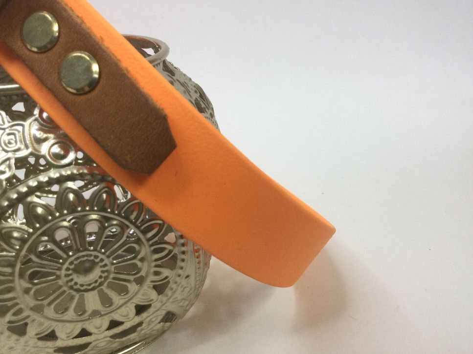 Halsband Fjord/ Neonorange. HU 43-45 cm