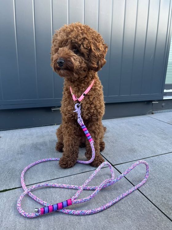 Cityleine aus Premiumtau, Flieder/Rosa/Lila