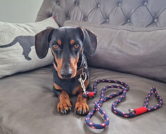 Cityleine aus Premiumtau, Gestalte selbst