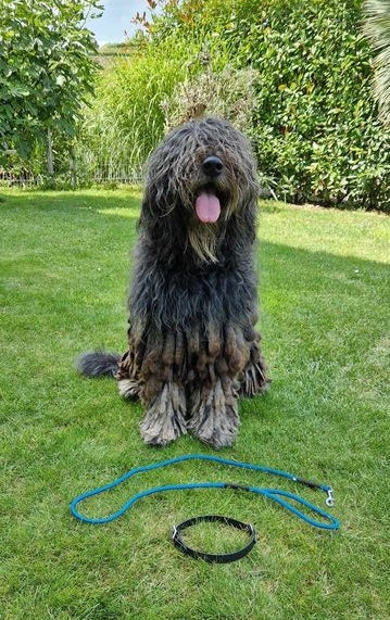 Verstellbare Leine aus Biothane/Dunkelblau