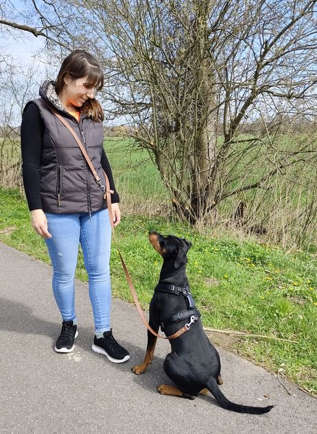 Crossbody Leine aus Biothane
