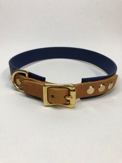 Hundehalsband aus Biothane mit Fettleder, individuell, Farben und Breite frei wählbar, handgefertigt von paleroad-design