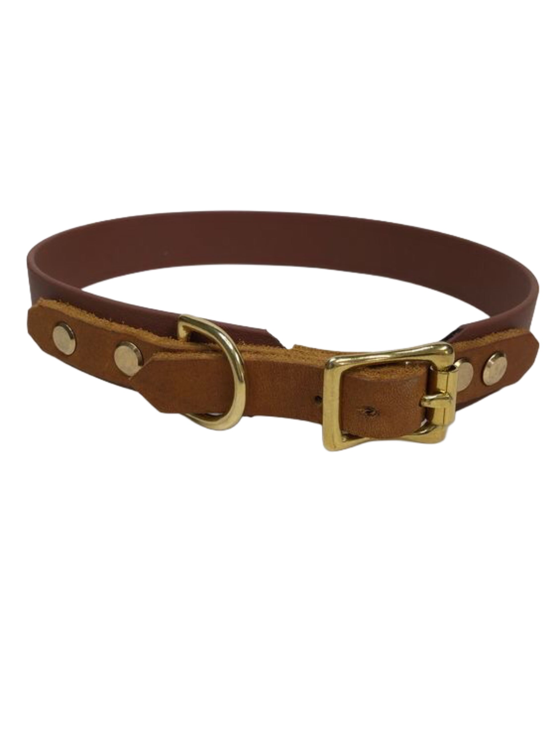 Hundehalsband Biothane mit Leder, schokobraun, viele Farben möglich, individuell gesltalten, handgefertigt von paleroad-design