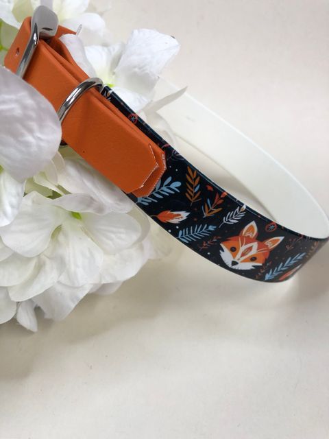 Biothane Halsband, Motiv: Füchse, Halsumfang 39-43 cm