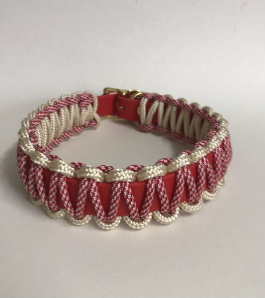 Biothane Halsband mit Paracord Umflechtung, Halsumfang 37- 41 cm