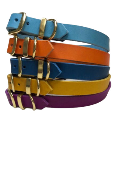 Halsband aus Leder von paleroad-desing, viele Farben, selbst gestalten, individuell, für alle Rassen
