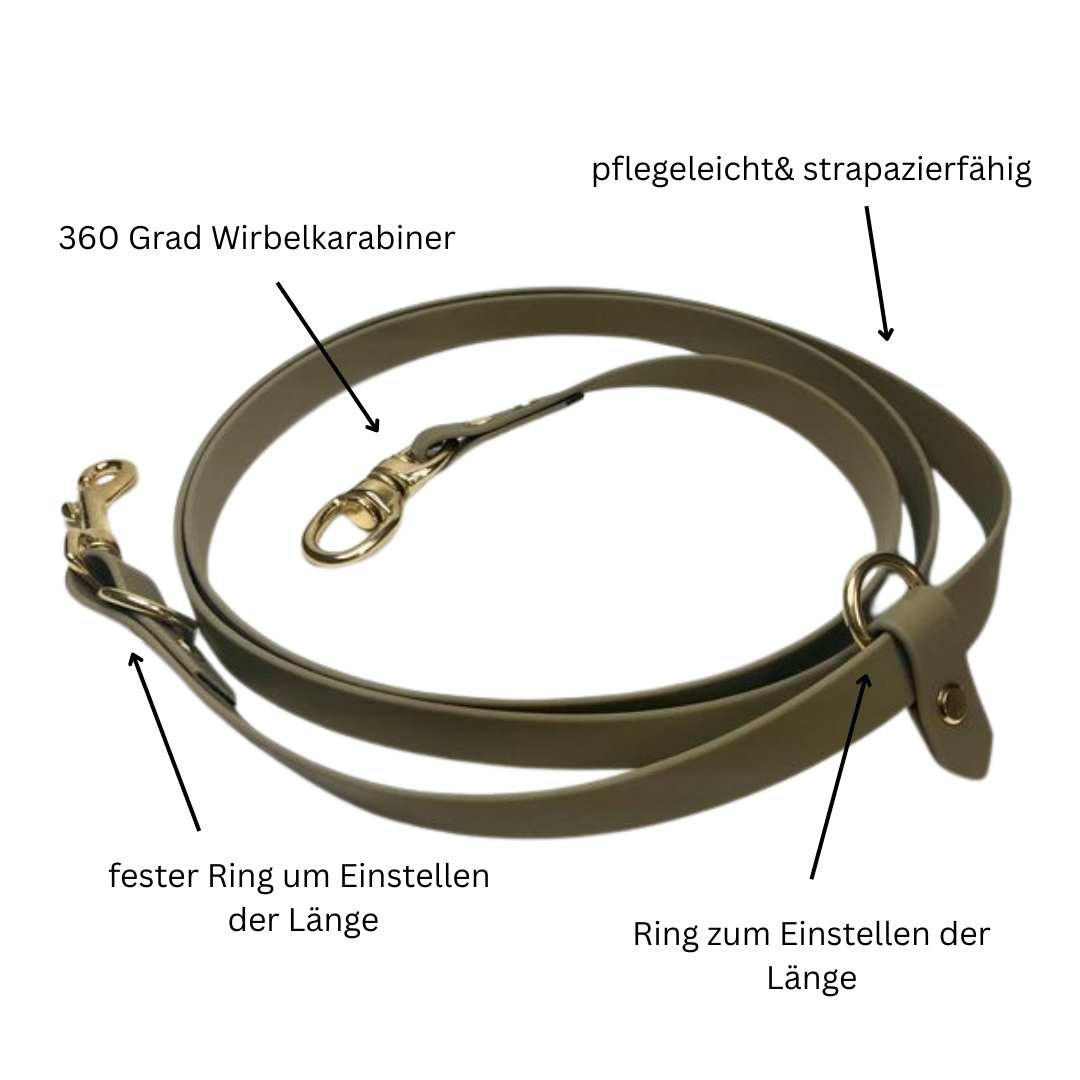 Koppelleinen Set aus Biothane-wasserfest-strapazierfähig-langlebig-Paleroad Design