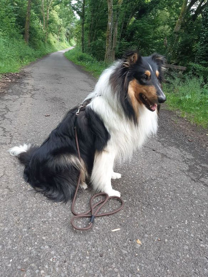 Material Mix Set/ Biothane Halsband/Takelung / Personalisierung & Leine Premiumtau