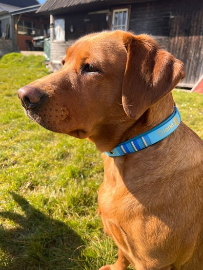 Konfigurator - Biothane Halsband mit Takelung