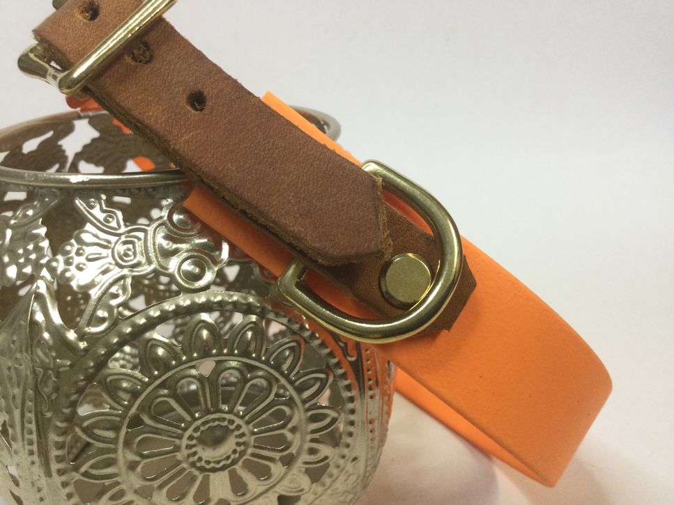 Halsband Fjord/ Neonorange. HU 43-45 cm