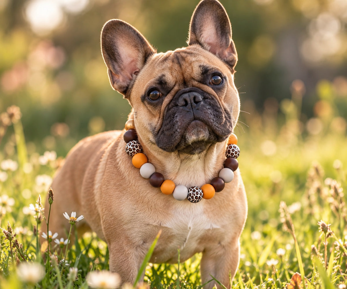 Hundekette Wild Spirit