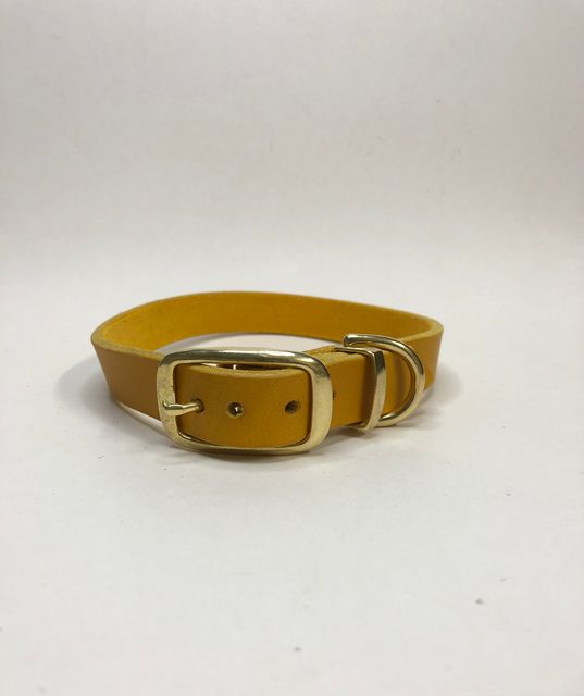 Lederhalsband, in Curry,  Halsumfang 39 - 43 cm