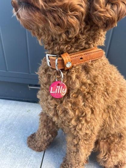 Hundemarke personalisiert, mit Name des Hundes, individuell gestalten, Farben wählbar von paleroad-desing