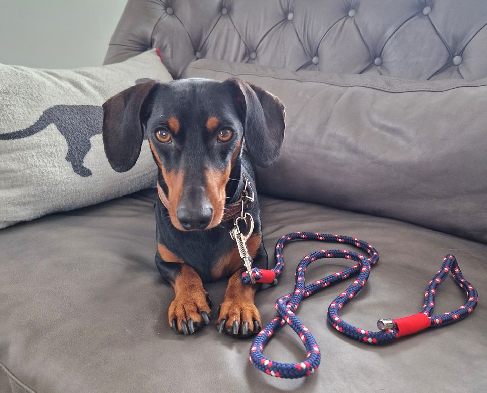 Cityleine aus Premiumtau, Gestalte selbst