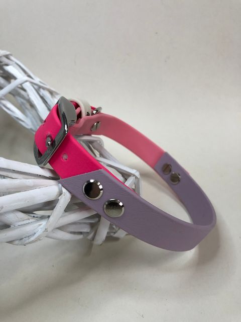 Biothane Halsband "Saga"