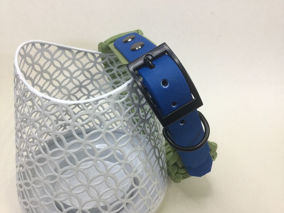 Halsband Lace mit Paracord, Guacamole/Dunkelblau, HU 41-44 cm