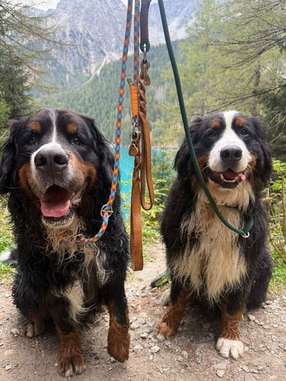 Cityleine aus Premumtau/Grün bunt