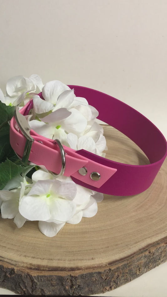 Konfigurator Biothane Halsband Duo, extra breit
