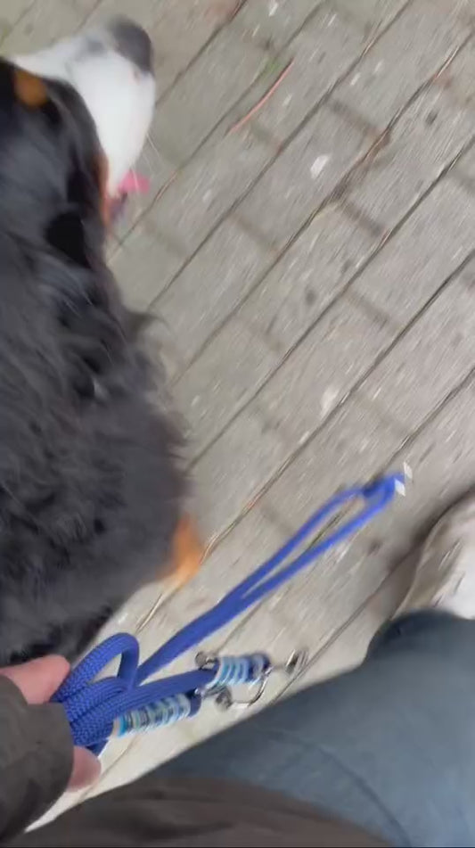 verstellbare Leine aus Premiumtau / Midnight Blue