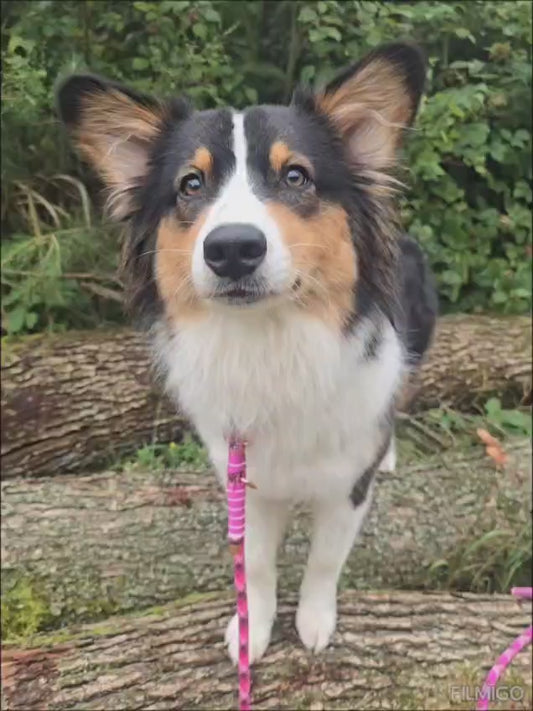 Konfigurator - Cityleine aus Premiumtau