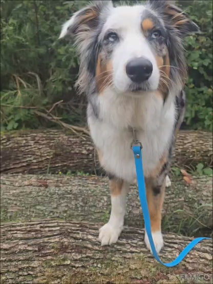 Konfigurator - verstellbare Leine aus Biothane