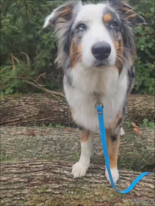 Konfigurator - verstellbare Leine aus Biothane