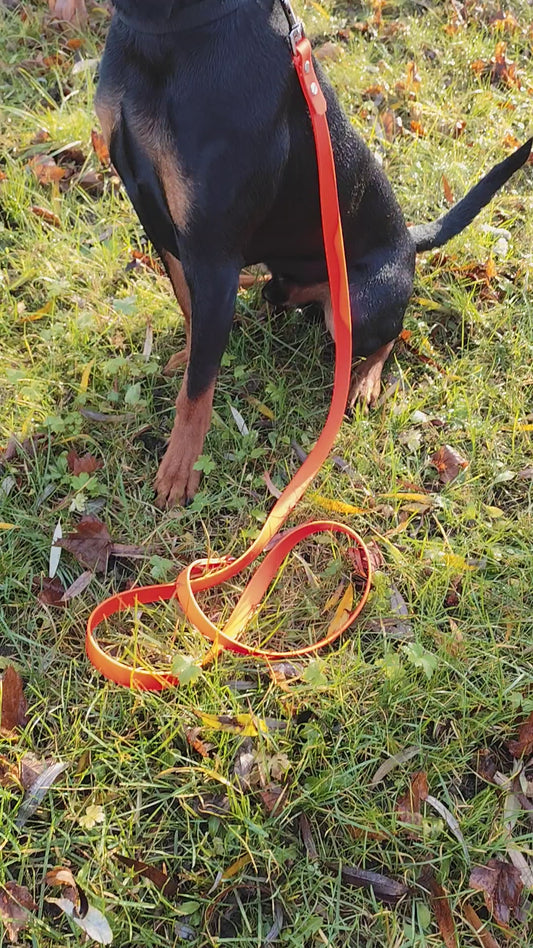 Verstellbate Leine aus Biothane/ Neoanorange