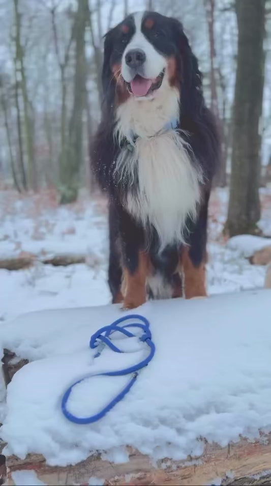 Konfigurator - verstellbare Leine  aus 10 mm Premiumtau