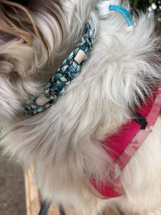 Halsband mit EM Keramik, gestalte selbst